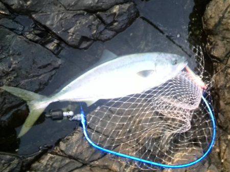 ご無沙汰でした